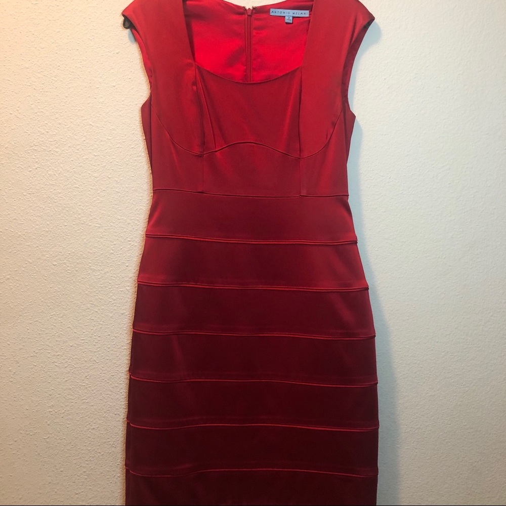 Antonio Melani Size 2 Dress